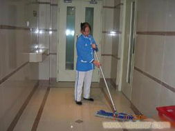 專業開荒保潔服務與物業管理 覆蓋永嘉、洞頭、平陽、蒼南、文成、泰順